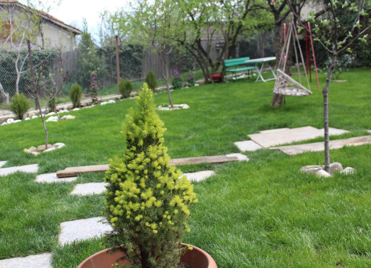תלאווי Guest House Poligloti מראה חיצוני תמונה