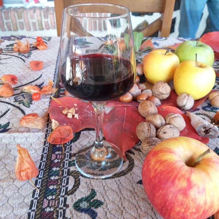 תלאווי Guest House Poligloti מראה חיצוני תמונה